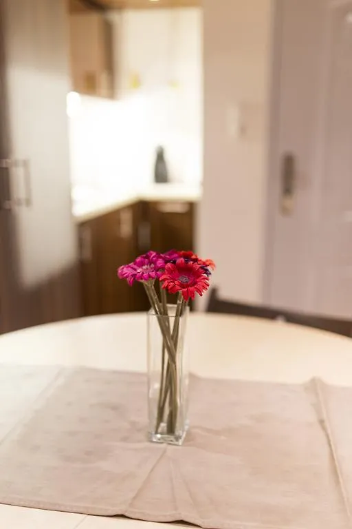Elisabeth Bridge Apartmans Budapest Apartman