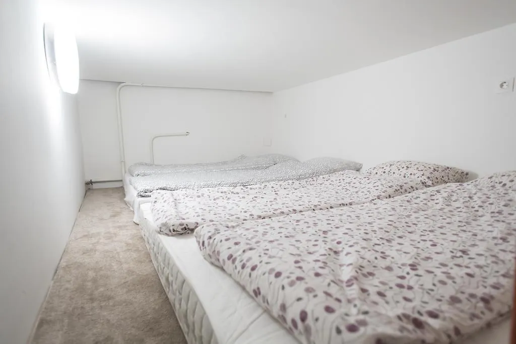 アパート Elisabeth Bridge Apartmans ブダペスト